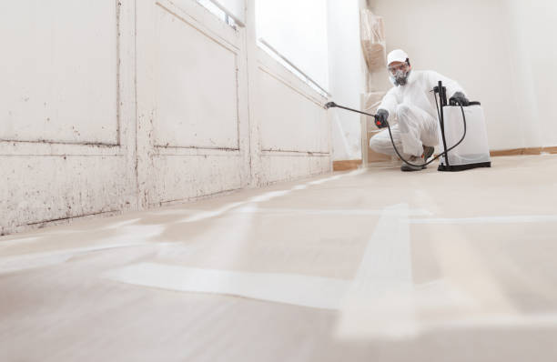 24/7 Emergency Mold Remediation experts in Yorktown, TX
