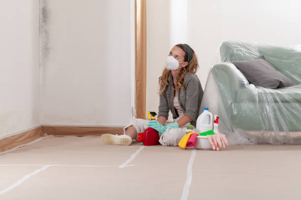 Reliable Mold Remediation contractor in Yorktown, TX by Cheap Mold Removal
